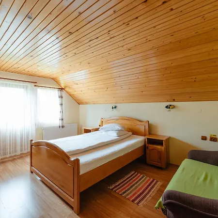 Guest house Pensiunea 