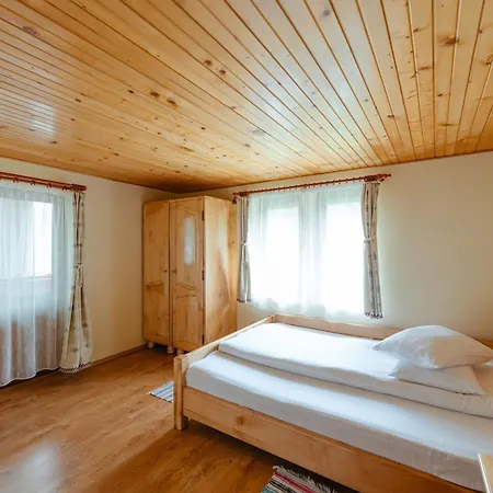 Guest house Pensiunea 