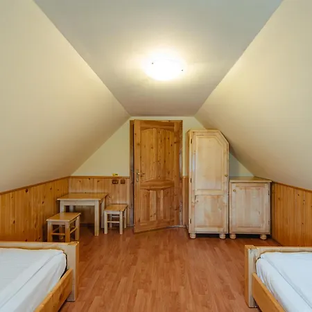 Guest house Pensiunea 